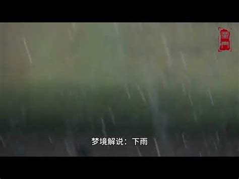 夢落雨|夢見雨